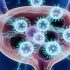 Survival Guide: How to Run Local AI Without a GPU in 2026
